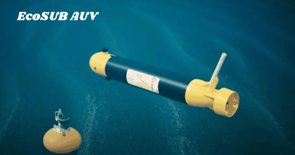 EcoSUB AUV
